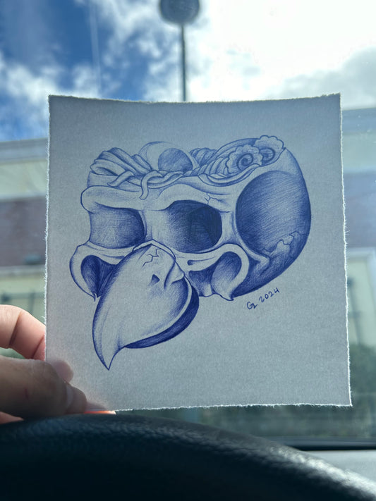 Ramen Skull Flash